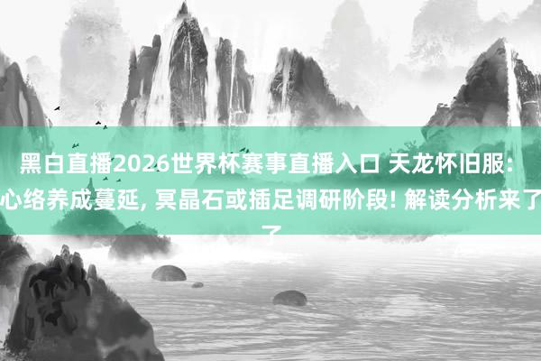 黑白直播2026世界杯赛事直播入口 天龙怀旧服: 心络养成蔓延， 冥晶石或插足调研阶段! 解读分析来了