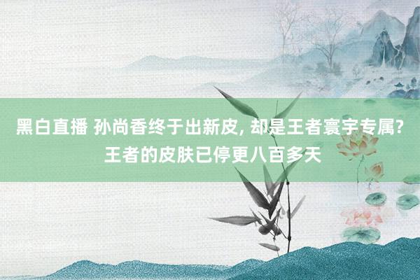 黑白直播 孙尚香终于出新皮， 却是王者寰宇专属? 王者的皮肤已停更八百多天