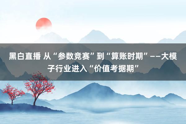 黑白直播 从“参数竞赛”到“算账时期”——大模子行业进入“价值考据期”