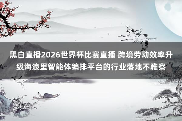 黑白直播2026世界杯比赛直播 跨境劳动效率升级海浪里智能体编排平台的行业落地不雅察