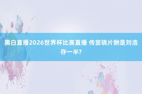 黑白直播2026世界杯比赛直播 传窦骁片酬是刘浩存一半?