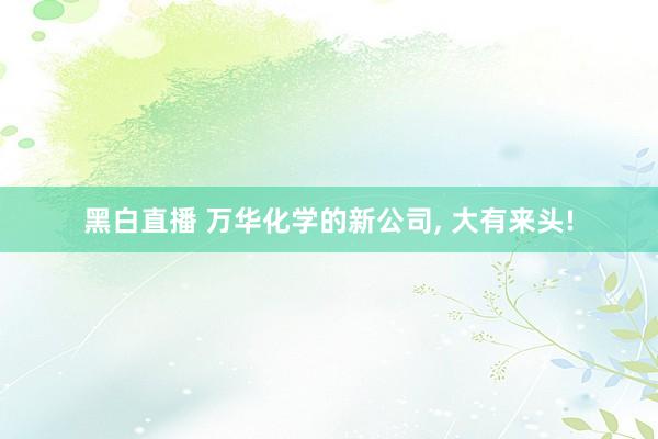 黑白直播 万华化学的新公司， 大有来头!