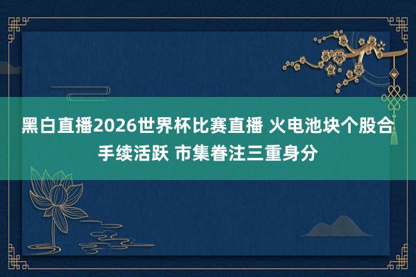 黑白直播2026世界杯比赛直播 火电池块个股合手续活跃 市集眷注三重身分