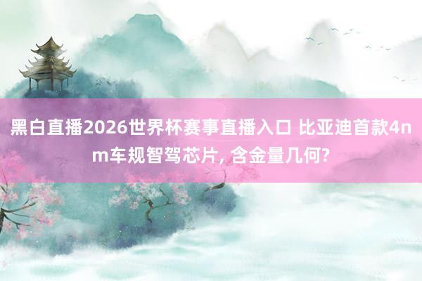 黑白直播2026世界杯赛事直播入口 比亚迪首款4nm车规智驾芯片， 含金量几何?