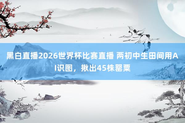 黑白直播2026世界杯比赛直播 两初中生田间用AI识图，揪出45株罂粟
