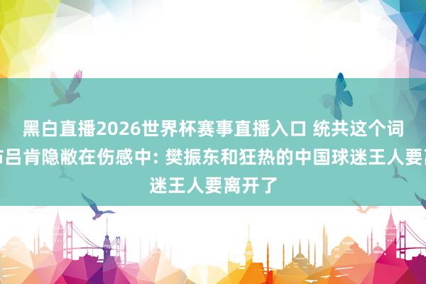 黑白直播2026世界杯赛事直播入口 统共这个词萨尔布吕肯隐敝在伤感中: 樊振东和狂热的中国球迷王人要离开了