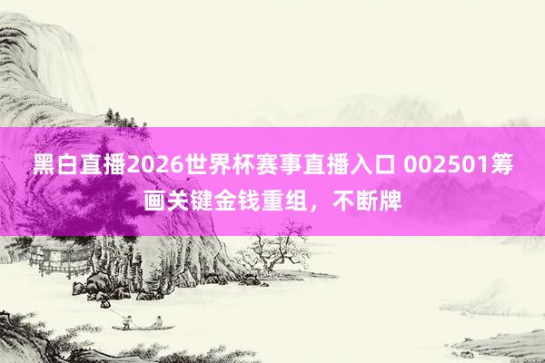 黑白直播2026世界杯赛事直播入口 002501筹画关键金钱重组，不断牌