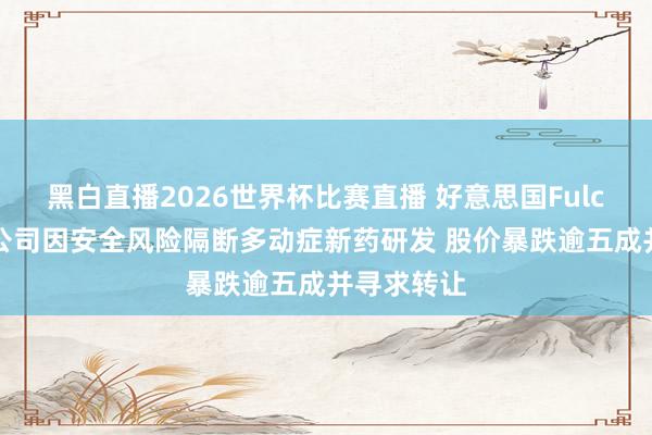 黑白直播2026世界杯比赛直播 好意思国Fulcrum制药公司因安全风险隔断多动症新药研发 股价暴跌逾五成并寻求转让