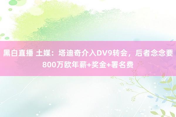 黑白直播 土媒：塔迪奇介入DV9转会，后者念念要800万欧年薪+奖金+署名费