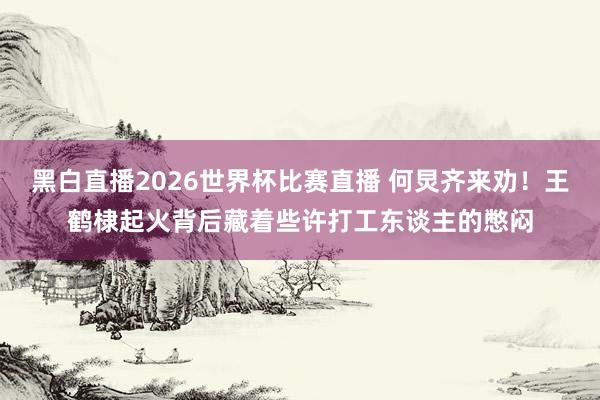 黑白直播2026世界杯比赛直播 何炅齐来劝！王鹤棣起火背后藏着些许打工东谈主的憋闷