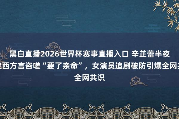 黑白直播2026世界杯赛事直播入口 辛芷蕾半夜发陕西方言咨嗟“要了亲命”,女演员追剧破防引爆全网共识