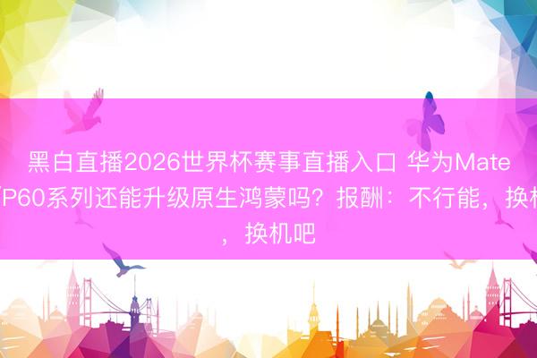 黑白直播2026世界杯赛事直播入口 华为Mate40/P60系列还能升级原生鸿蒙吗？报酬：不行能，换机吧