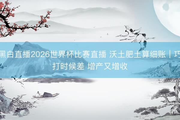 黑白直播2026世界杯比赛直播 沃土肥土算细账｜巧打时候差 增产又增收