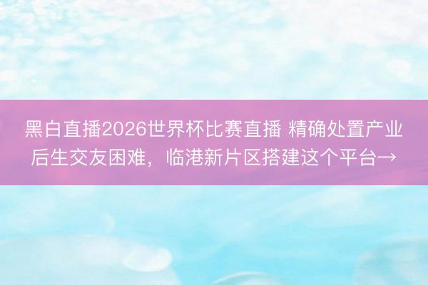 黑白直播2026世界杯比赛直播 精确处置产业后生交友困难，临港新片区搭建这个平台→