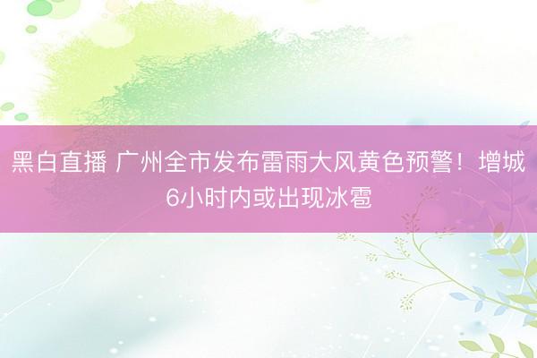 黑白直播 广州全市发布雷雨大风黄色预警！增城6小时内或出现冰雹