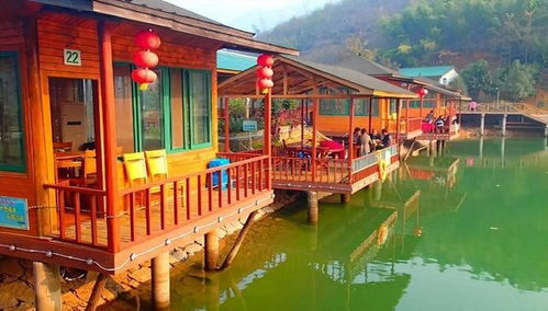 从一座难求,到大面积倒闭 风靡全国的农家乐,为啥没人去了