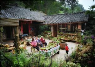 曾经红火的农家乐变 农家哭 ,为何短短几年就 无人问津 了