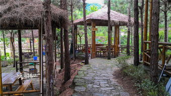 航拍防城白马山庄,夏日游玩休闲农家乐