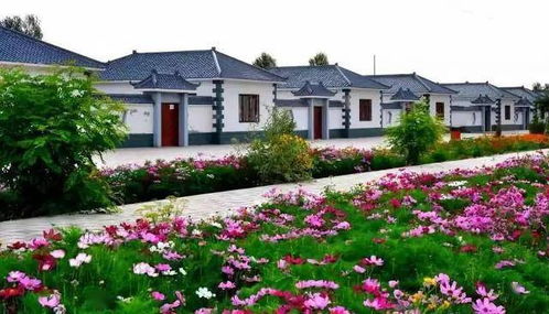 农村的年轻人都外出打工,如何让他们回来建设自己的家乡