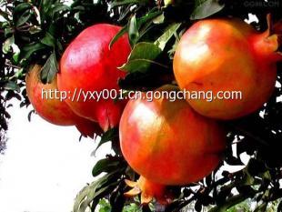 郑州周边的农家乐_农副产品_世界工厂网