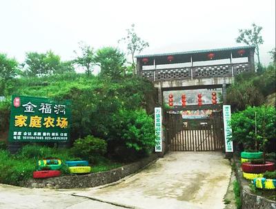 綦江区户外活动-重庆城乡网是乡村振兴的引领者,农产品交易批发,农业基地,周边游,周边农家乐,精品民宿,采摘园,乡村旅游信息分享平台,重庆周边游-山.喂