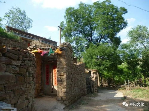 乡村旅游受青睐,古村体验成最爱