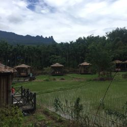 七仙岭瑶池酒店脏鸭子农家乐餐厅电话,地址,营业时间(图)-保亭美食-大众点评网