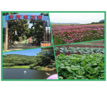 深圳农家乐旅游优质商家置顶推荐产品