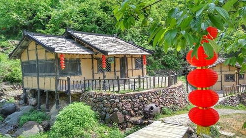 倒闭84199家,曾经的风靡全国,农家乐现在到底怎么了