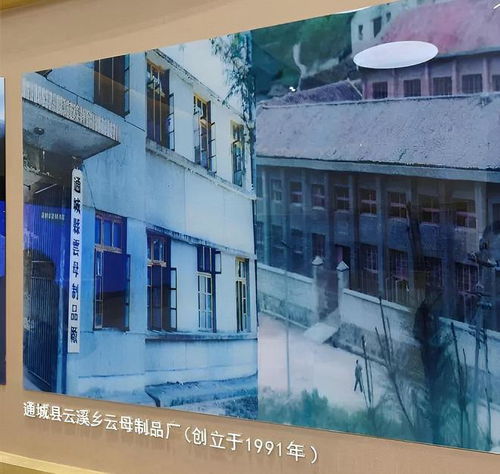 湖北咸宁新首富诞生了,干出全球龙头企业,如今一家六口身价33亿