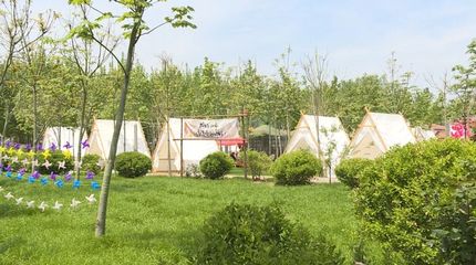 六项精彩活动!2023潍坊首届玫瑰花海艺术节来啦!