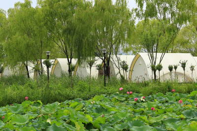 滕州市滨湖镇:7000亩采煤塌陷地治理助推乡村振兴