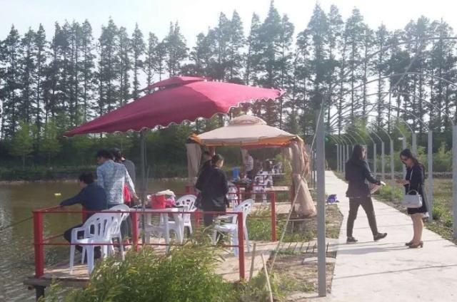假期乡村游, 为什么现在没人去"农家乐"了? 游客: 聪明人才不去