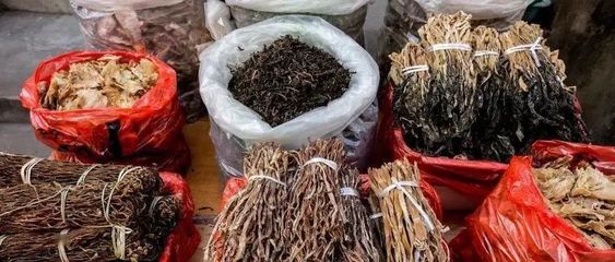 南阳农家乐 近郊游 周末度假 亲子采摘+钓鱼抖音短视频推广