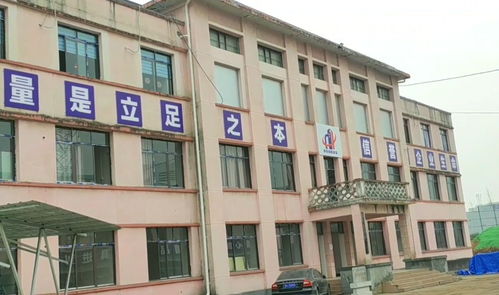 四川一家特殊三线厂,不生产军品,也不生产民品,产品却人人爱