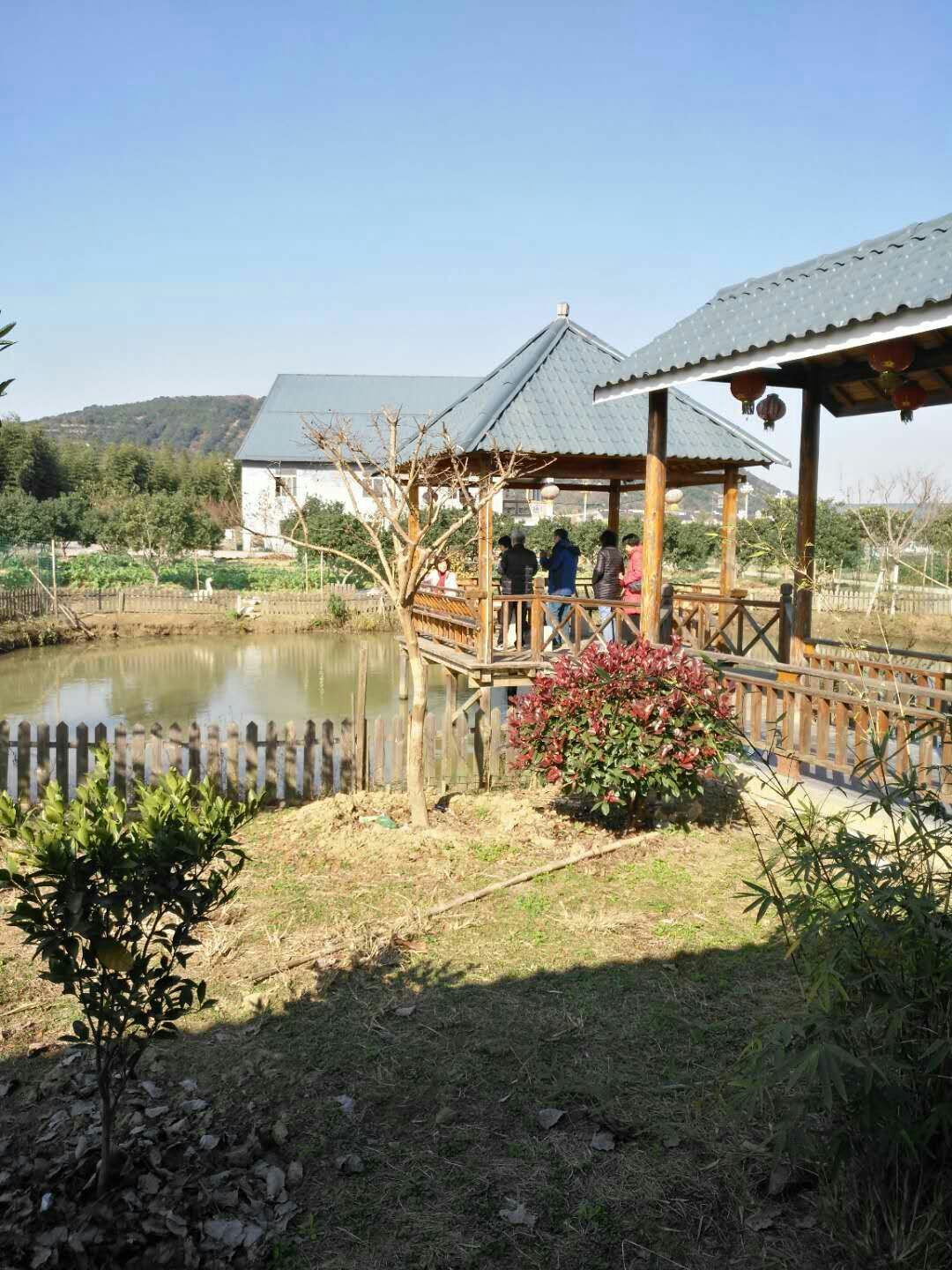 苏州西山庭湖缘农家乐 - 美篇