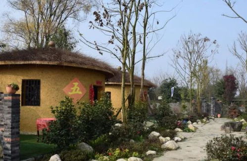 为何现在很少有人再去农家乐旅游消费了 游客 去一次可能就知道