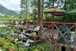 喜讯 崇左又添13个四星级乡村旅游区 农家乐 啦