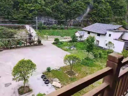镇坪 最美厨娘 巾帼示范农家乐 民宿 风采展 三