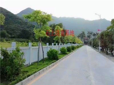 图 公司年终聚餐 烤全羊 篝火晚会 团队拓展等 深圳度假村 农家乐