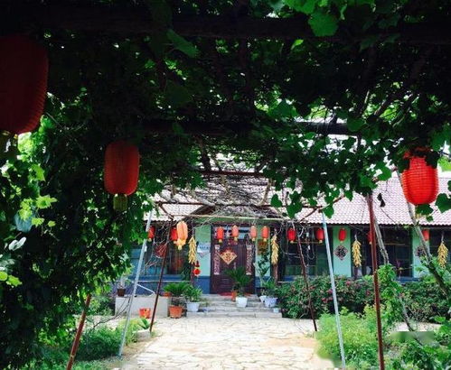 农家乐曾风靡一时,为何如今频繁 倒闭 原因很现实