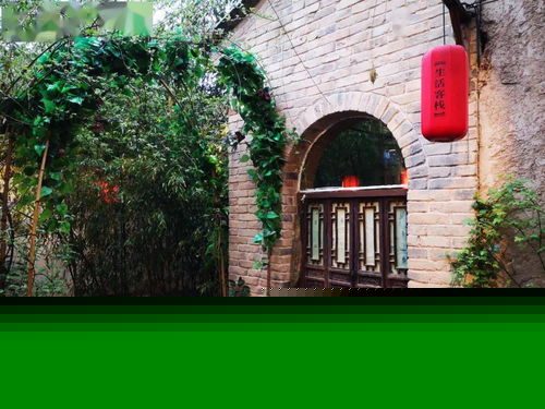 寇店镇赴袁家村 取经 学习