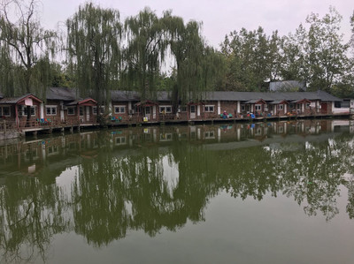 冬日暖阳,三圣乡农家乐走一波,喝茶晒太阳