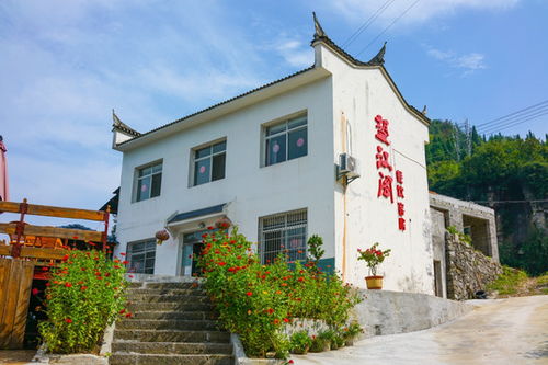 红树林保护区图片素材下载 自然风景素材下的海洋海岛图片素材