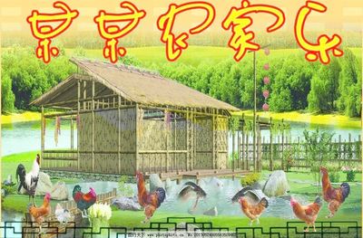 农家乐 新农村的田园风光画卷