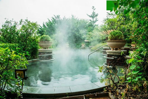 农家乐喜迎龙门发千万资金扶持