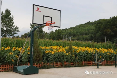 和政县石咀村 向日葵基地与农家乐共绘乡村振兴新画卷