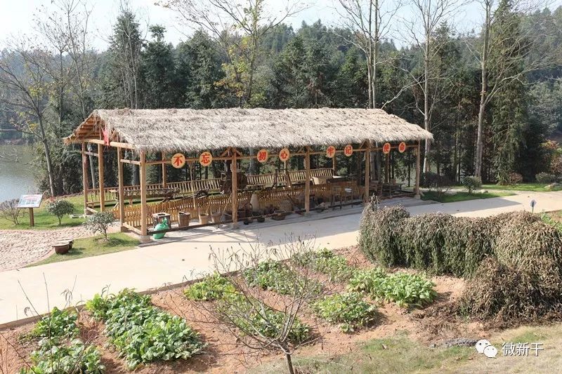 怀集连麦镇文岗村旧屋果园 农家乐一日游的别样亮点