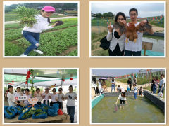 深圳农家乐渔家乐产品库 一站式采购平台