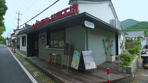 数字乡村调研行 新村民助力乡村振兴，农家乐加‘数’跑